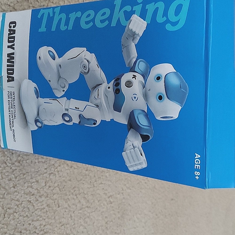 Intellectual Gesture Control Robot for Entertainment